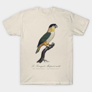 Black-Headed Parrot - 19th century Jacques Barraband Illustration T-Shirt